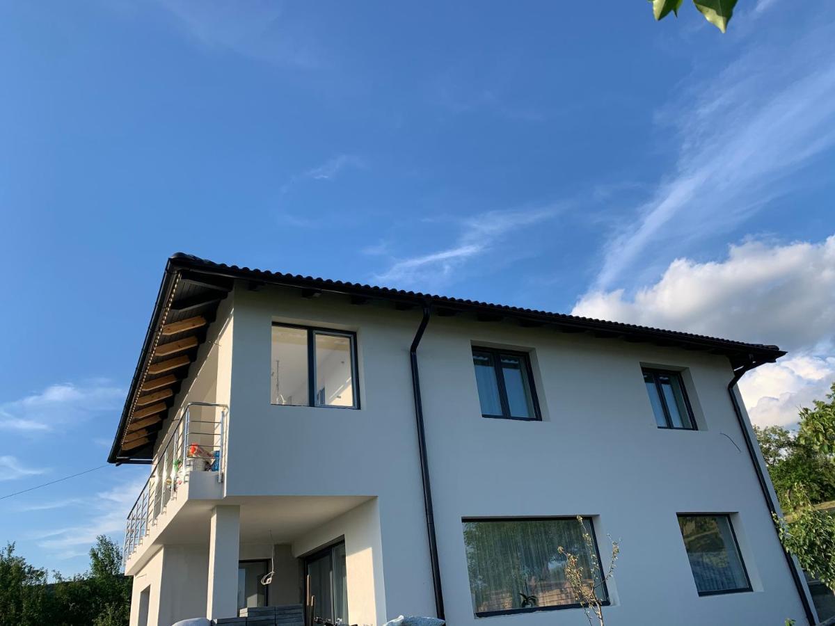 Viktoria House Villa Odorheiu Secuiesc Eksteriør billede