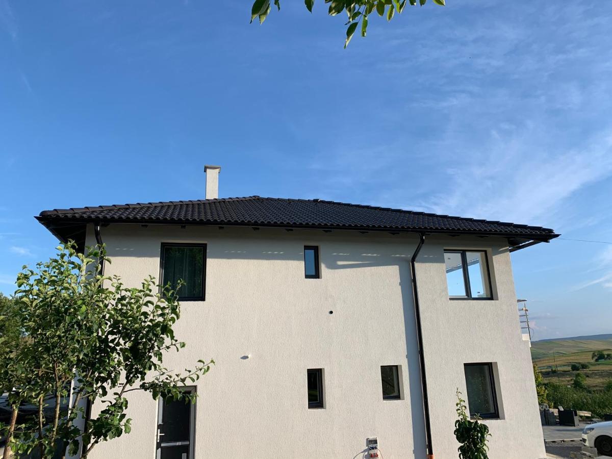 Viktoria House Villa Odorheiu Secuiesc Eksteriør billede