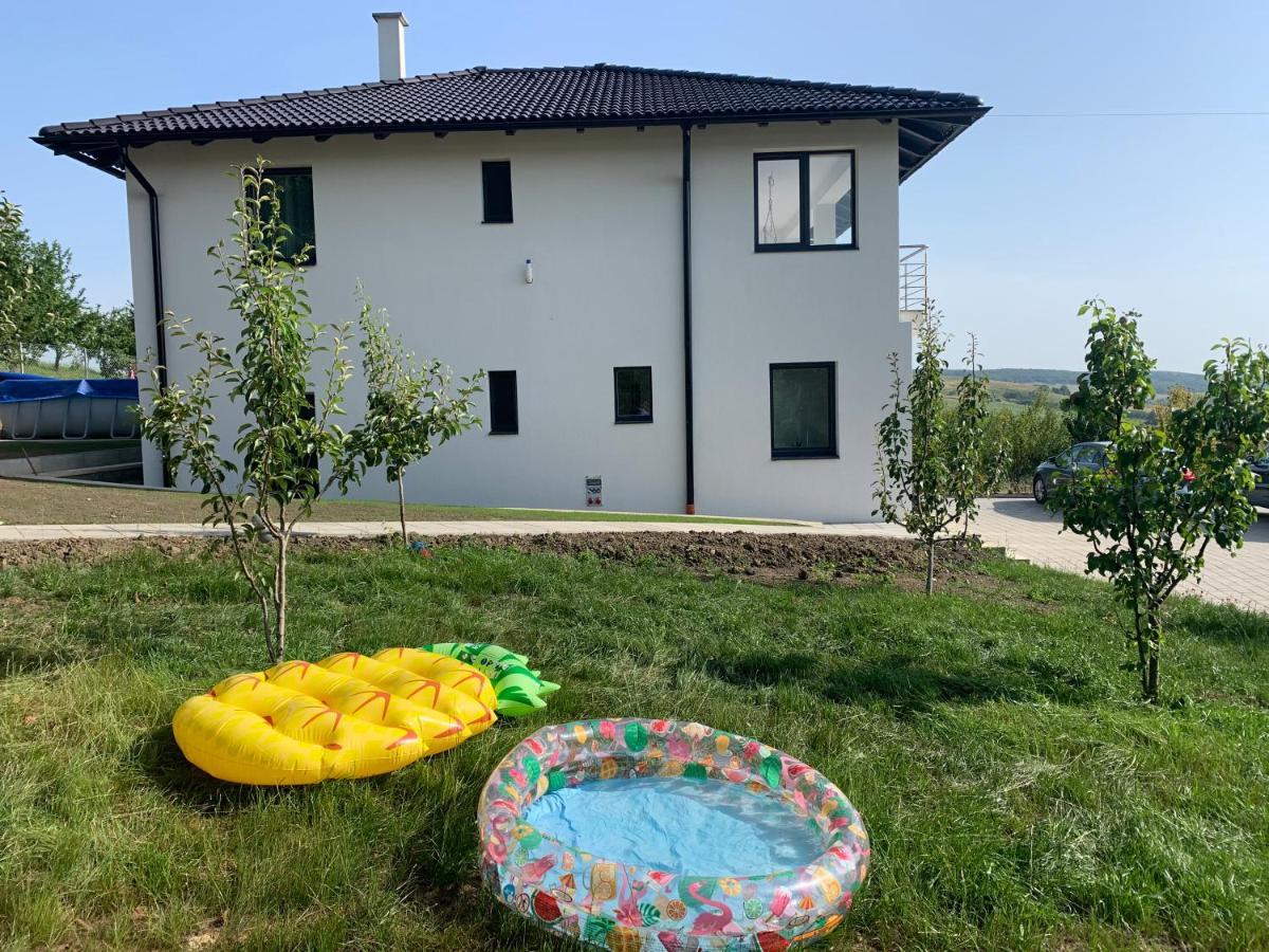Viktoria House Villa Odorheiu Secuiesc Eksteriør billede