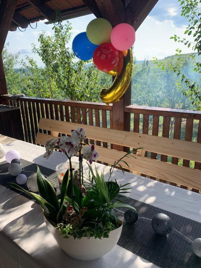 Viktoria House Villa Odorheiu Secuiesc Eksteriør billede