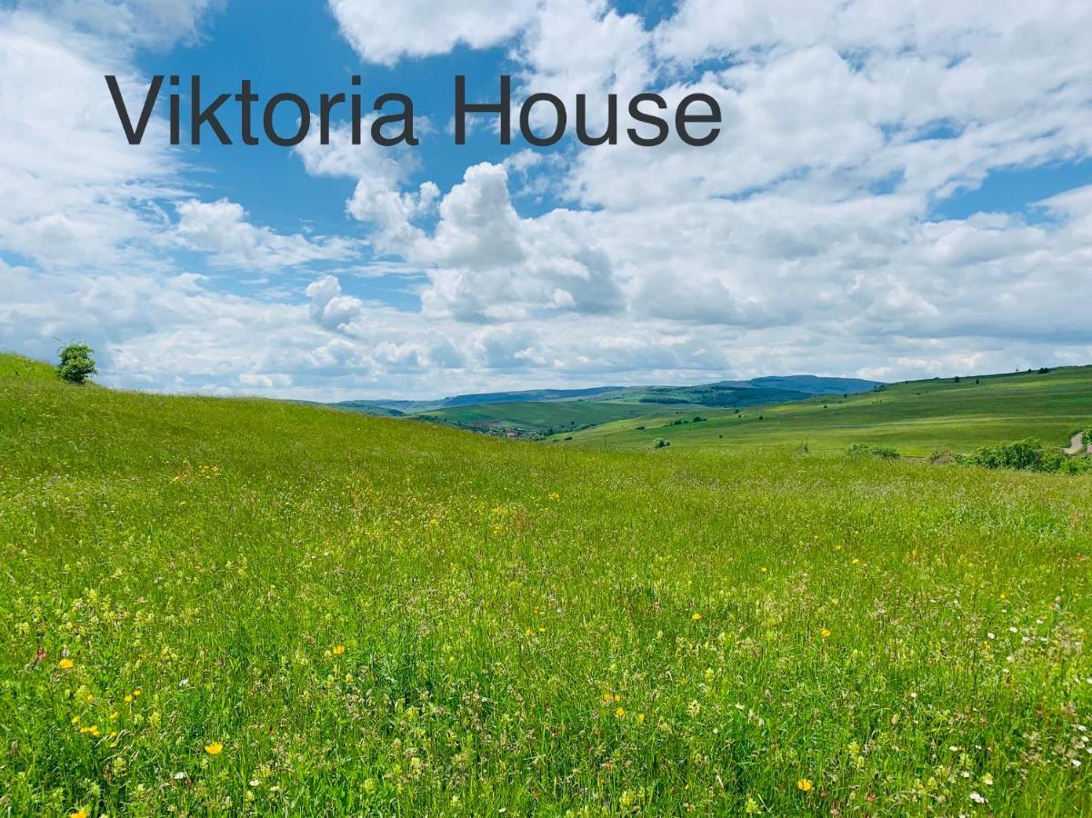 Viktoria House Villa Odorheiu Secuiesc Eksteriør billede