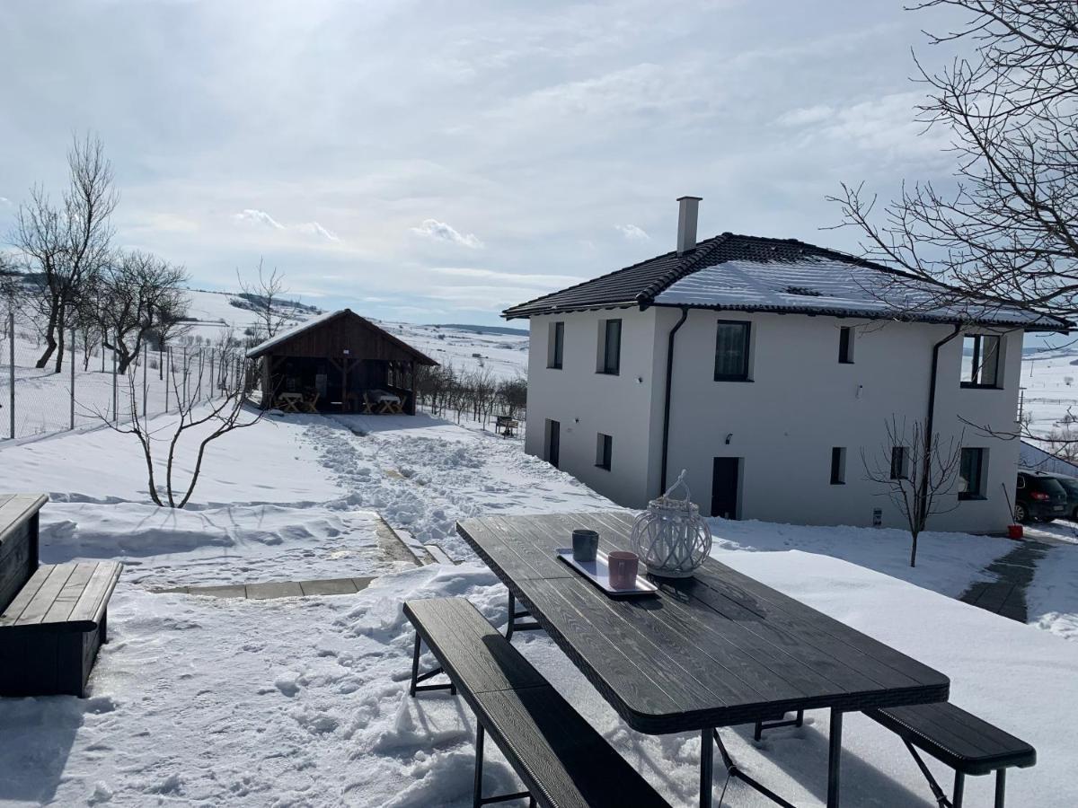 Viktoria House Villa Odorheiu Secuiesc Eksteriør billede