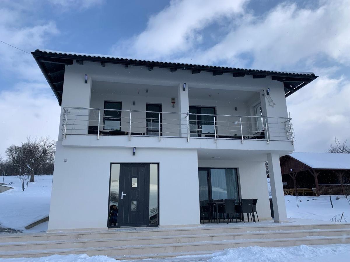 Viktoria House Villa Odorheiu Secuiesc Eksteriør billede